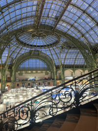 Grand Palais &agrave; Paris