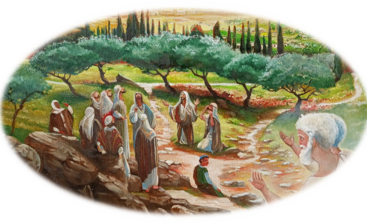 7 oliviers comme 7 chandeliers... comme 7 églises !