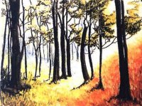 Forêt jaune du Limousin