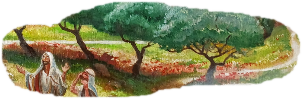 Paysage luxuriant de coquelicots sur la montagne des oliviers